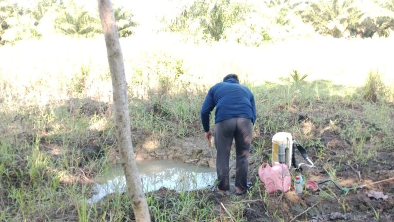 Air Terbatas, Semangat Merawat Kebun Sawit Pengurus Hidayatullah Mateng Tak Surut